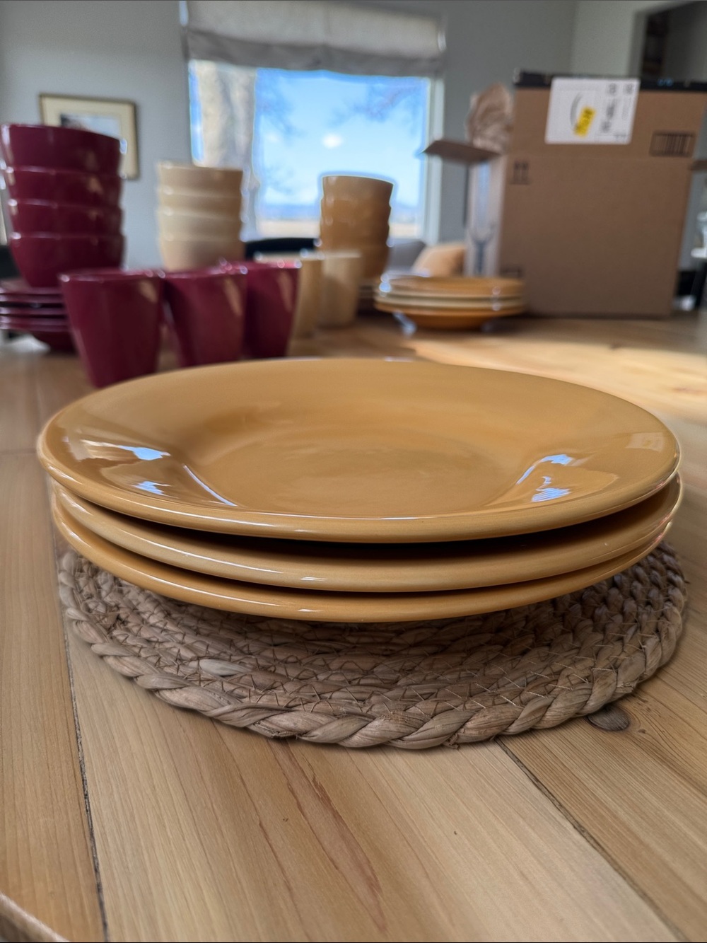 Pottery Barn Sausalito Amber Dinner Plates- Set of 3